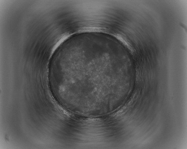 X0000095111325200801041151