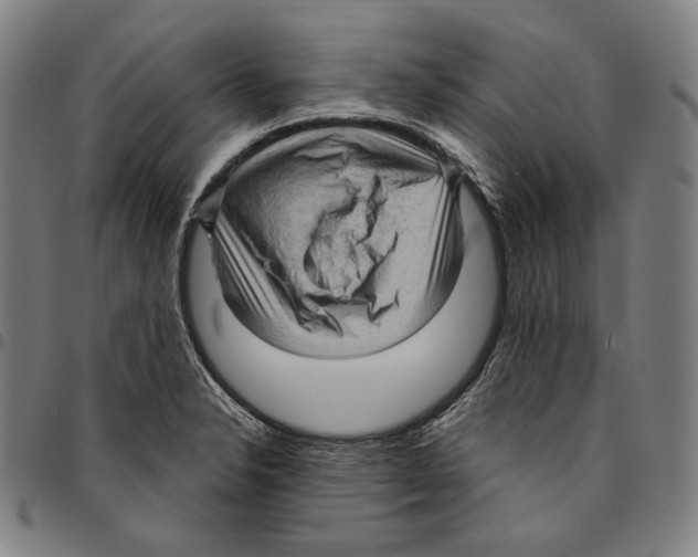 X0000095111326200801041151