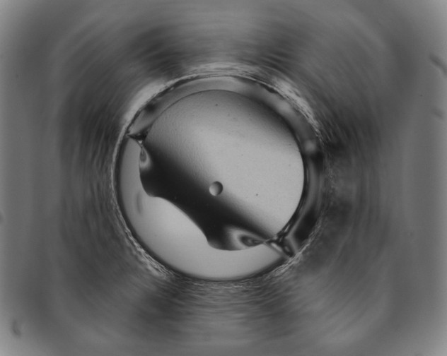 X0000095111328200801041151