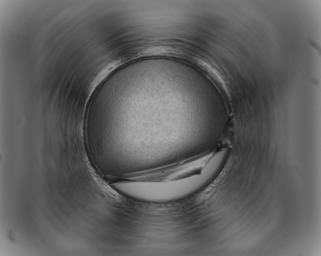 X0000095111330200801041151