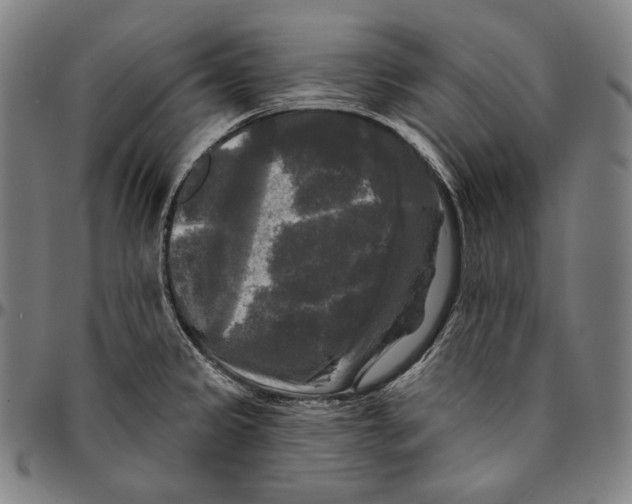 X0000095111333200801041151