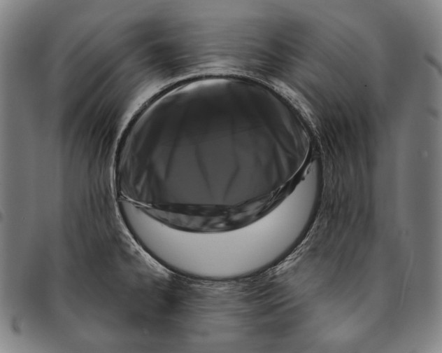 X0000095111334200801041151