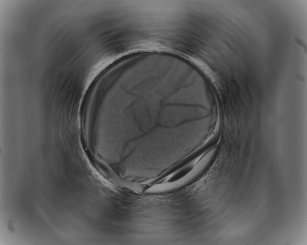 X0000095111335200801041151