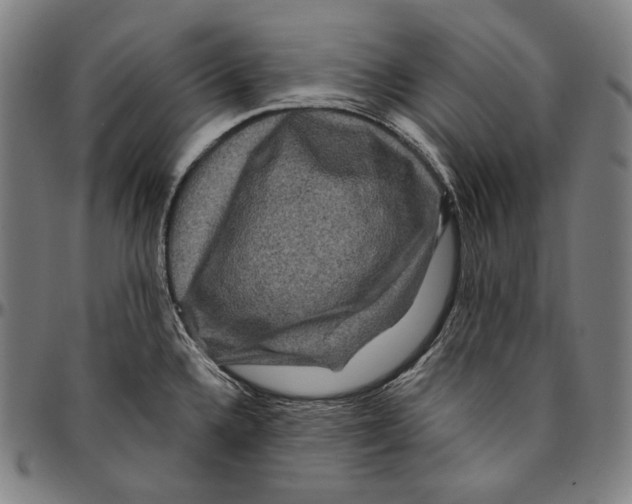 X0000095111336200801041151