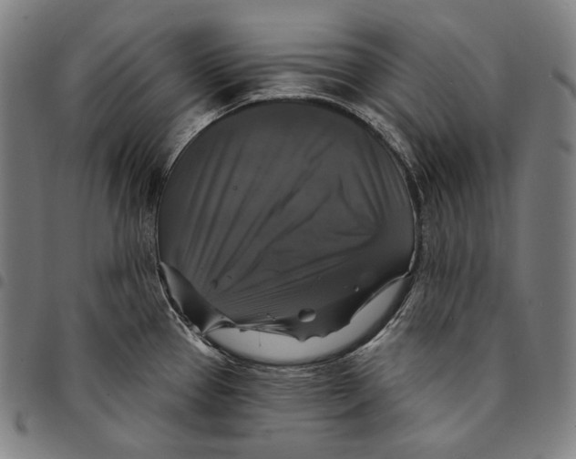 X0000095111337200801041151