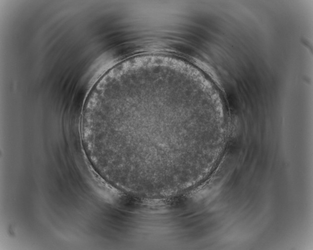 X0000095111338200801041151