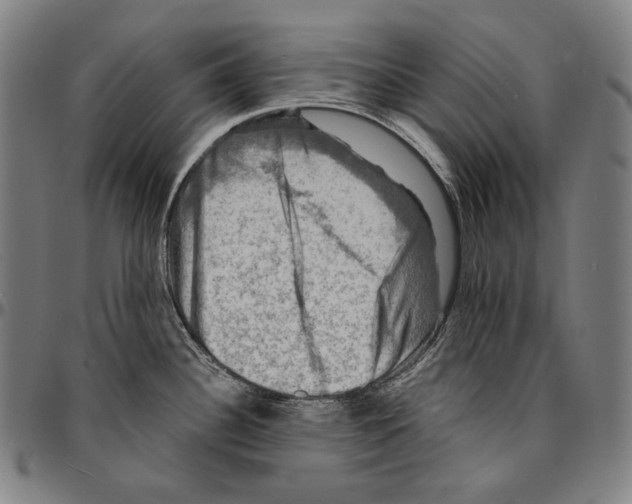 X0000095111340200801041151