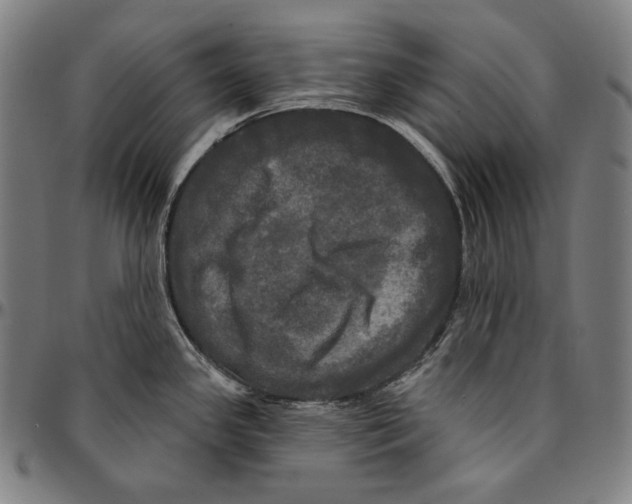 X0000095111341200801041151