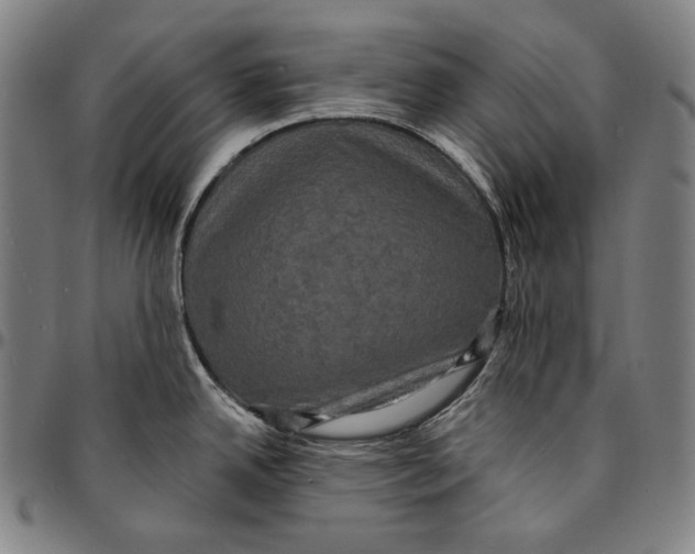 X0000095111342200801041151