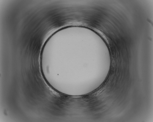 X0000095111343200801041151