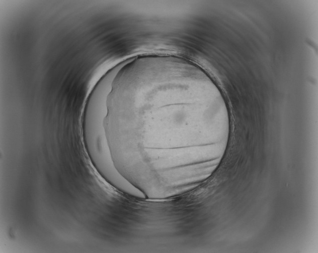 X0000095111344200801041152