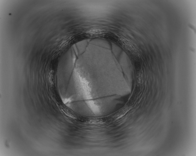 X0000095111346200801041151