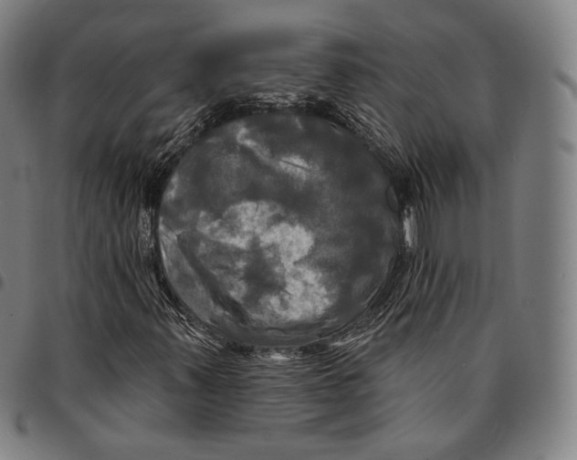 X0000095111347200801041151