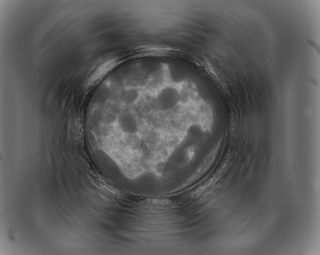 X0000095111354200801041151