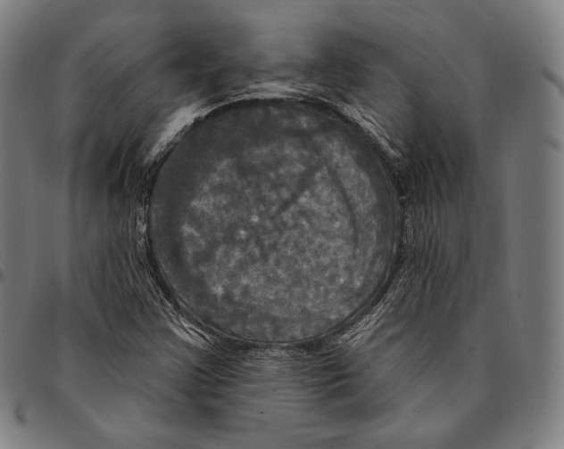 X0000095111355200801041151