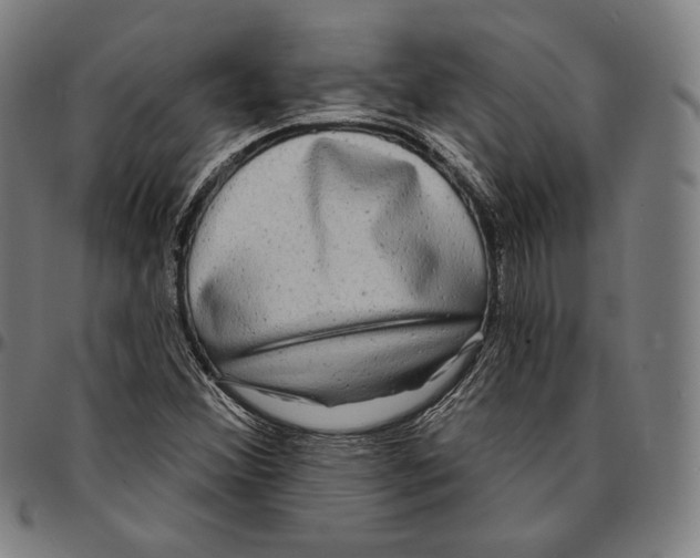 X0000095111356200801041151