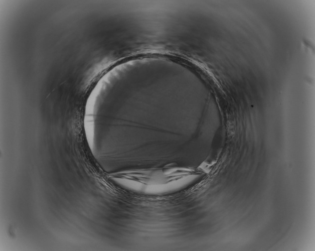 X0000095111359200801041150