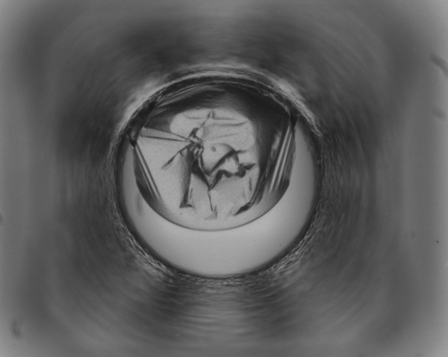 X0000095111360200801041150