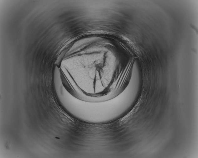 X0000095111361200801041150