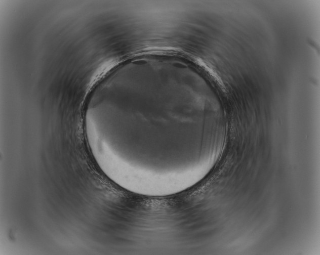 X0000095111362200801041150