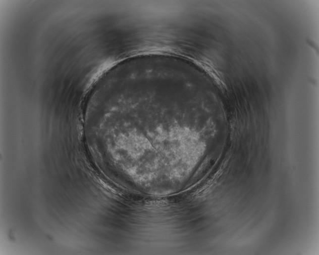 X0000095111363200801041150