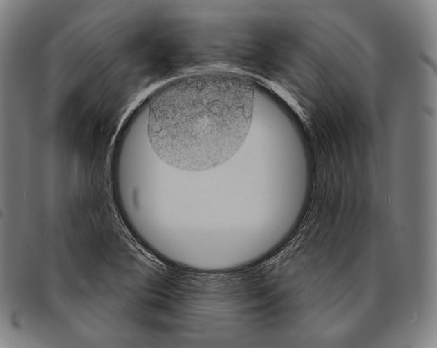 X0000095111364200801041150