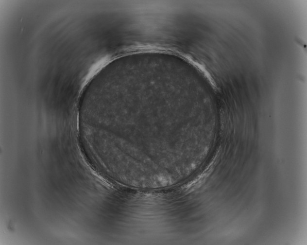 X0000095111365200801041150