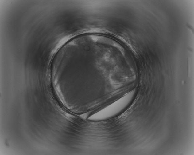 X0000095111367200801041150