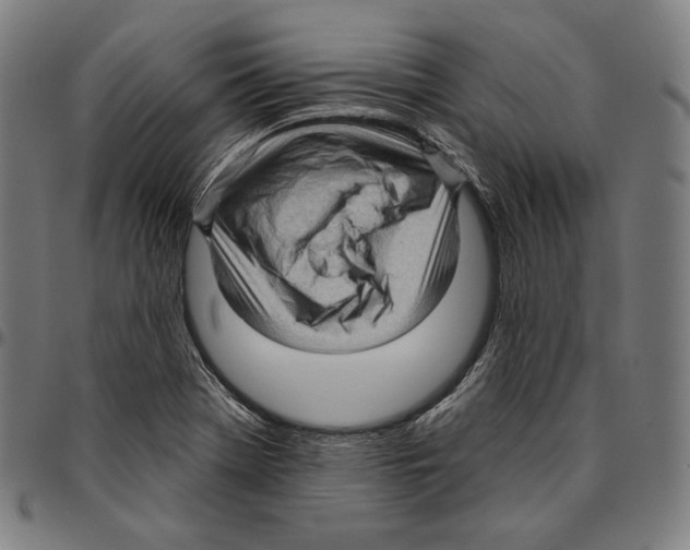 X0000095111369200801041150