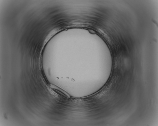 X0000095111370200801041150