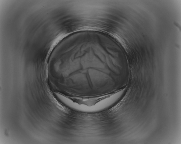 X0000095111371200801041150