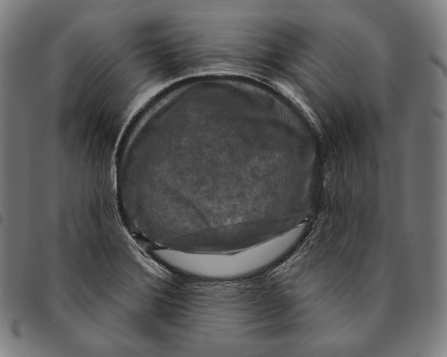 X0000095111372200801041150