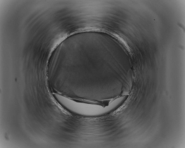 X0000095111373200801041150