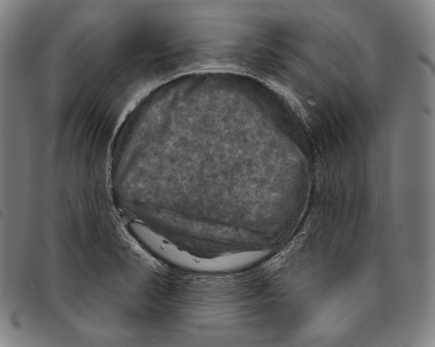 X0000095111374200801041150