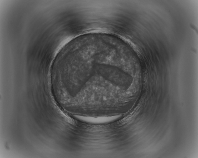 X0000095111375200801041150