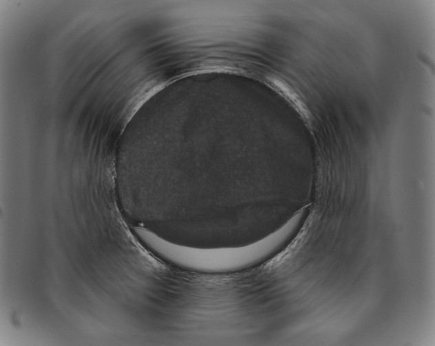 X0000095111377200801041150