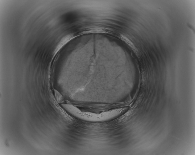 X0000095111378200801041150