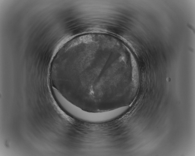 X0000095111379200801041150