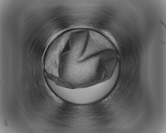 X0000095111380200801041150