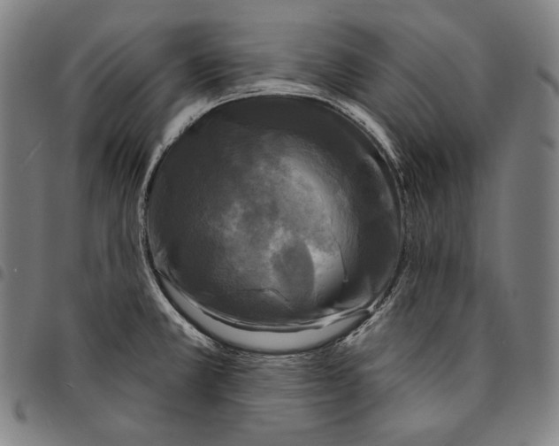 X0000095111381200801041150