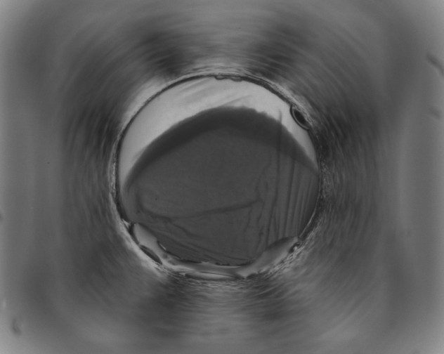 X0000095111383200801041150