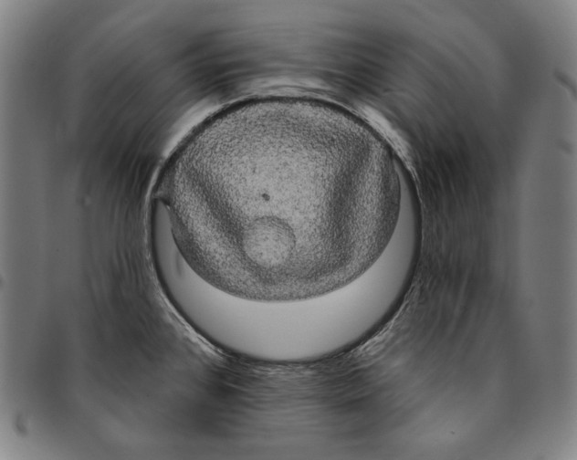 X0000095111384200801041150