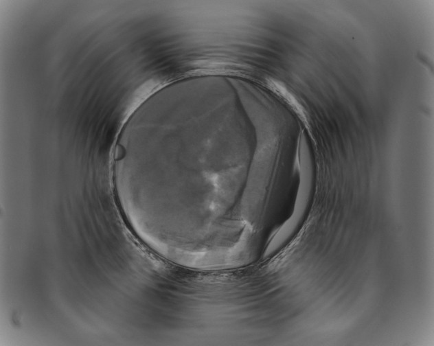 X0000095111386200801041150