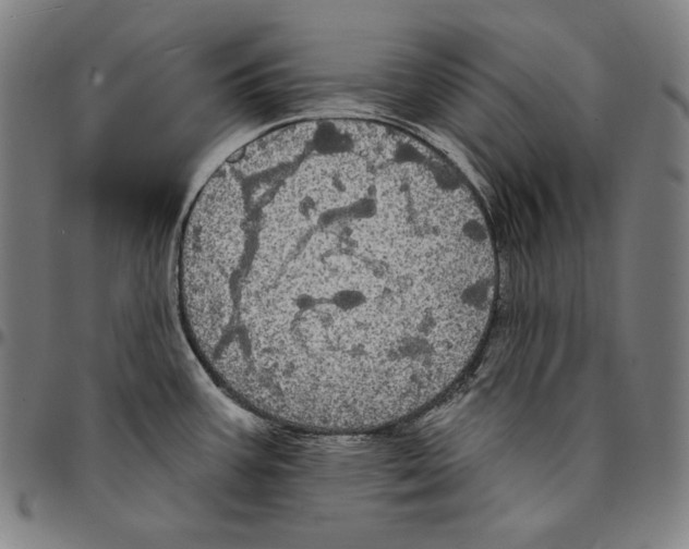 X0000095111387200801041150