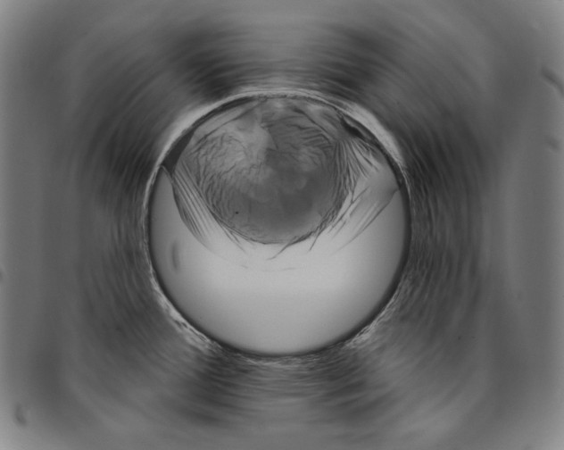 X0000095111388200801041150