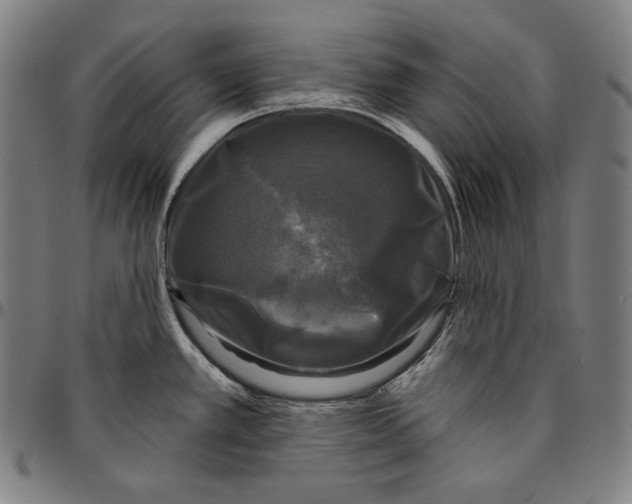 X0000095111389200801041150