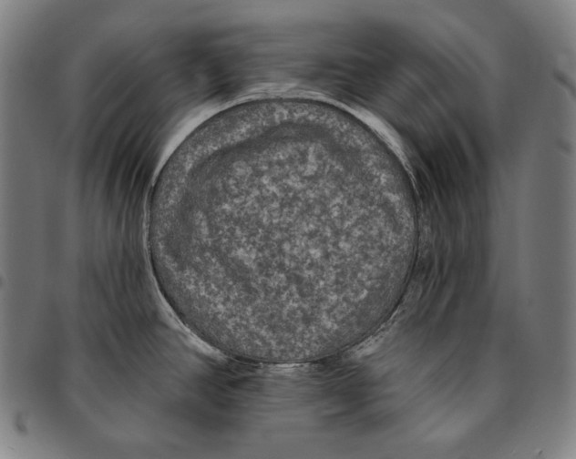 X0000095111390200801041150
