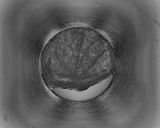 X0000095111391200801041150