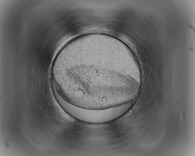 X0000095111392200801041150