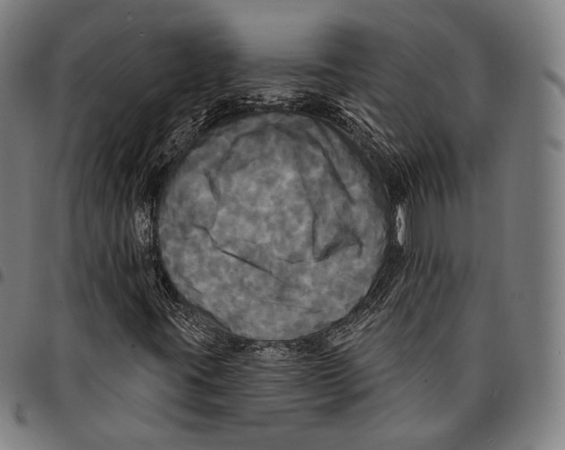 X0000095111395200801041149